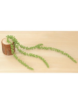 Vonluxe Uzun Inciler String Fake Yapay Succulents Asılı Bitkiler Basket Planı  (Yurt Dışından)