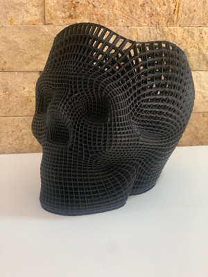 Karacan 3D Kuru Kafatası Kalemlik