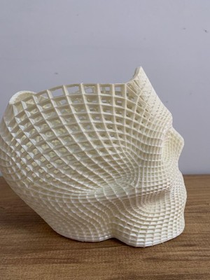 Karacan 3D Kuru Kafatası Kalemlik