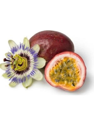 Vipfoni Çarkıfelek Meyve (Passiflora) Tohumu