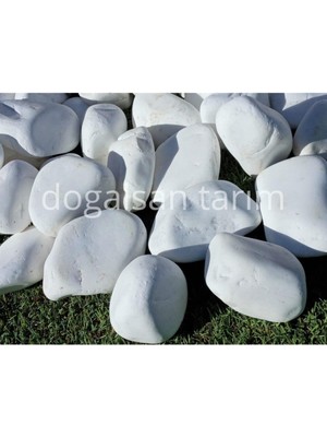 Doğalsan Tarım Beyaz Dolomit Taş 25 kg 4-6 cm Dere Taşı Çakıl Taşı Saksı Taşı Akvaryum Teraryum Taş