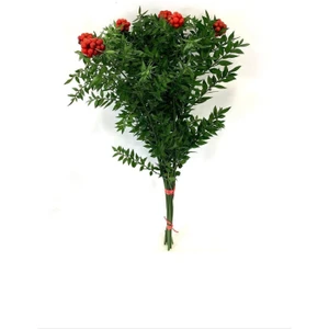 Ay Çiçekçilik Kokina