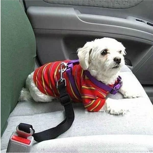 Siyah Kedi Köpek Araç Emniyet Kemeri Tasma Için Ayarlanabilir Araba Evcil Hayvan Oto Tasması