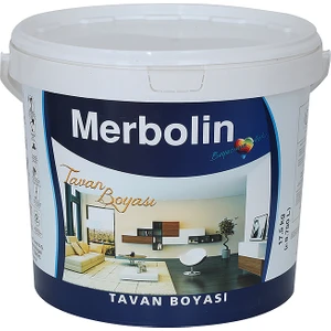 Tavan Boyası 3kg