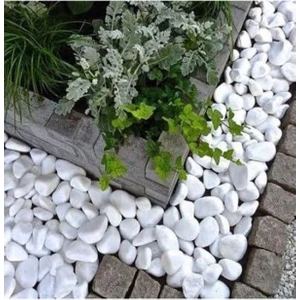 Bahçe Beyaz Dolomit Taş 10 kg 4-6 cm Dekorotif Taş Bahçe Süs Taşı Loche
