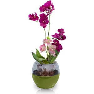 Buule Orkide Saksısı Yeşil 2 Litre 17 Cm Drenajlı Yuvarlak Kristal Plastik Tasarım Saksı Bl-Yy