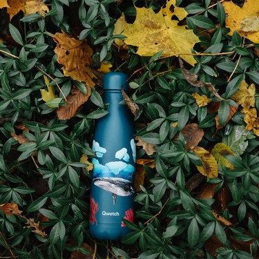 Qwetch QD3466 Balina Desenli Isı Yalıtımlı 500ML Termos - Fiyatı