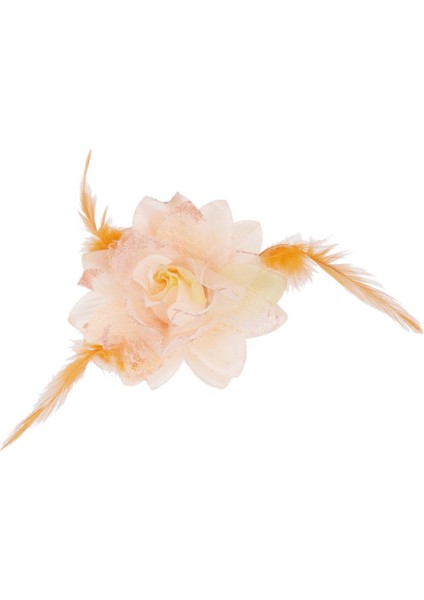 Kadın Broşlar (Yurt Dışından) fiyatları