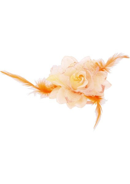 Kadın Broşlar (Yurt Dışından) modelleri