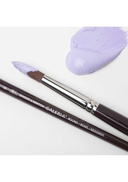 Galeria Uzun Saplı Sentetik Yuvarlak Fırça No:20 fırsatları