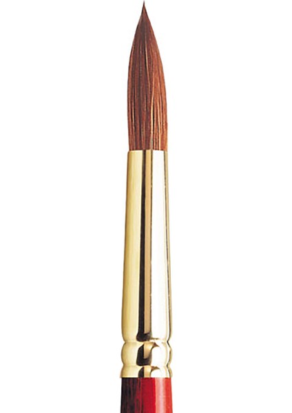 Sceptre Gold Iı Seri 101 Kısa Saplı Yuvarlak Fırça No:10