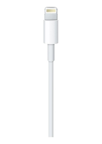 Apple Usb-C - Lightning Kablosu (1 M) - MM0A3ZM/A