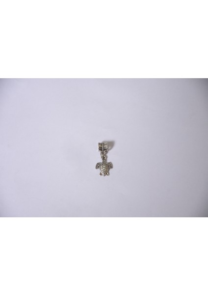 Takantalana Worldshop Bileklik Uyumlu Gümüş Charm