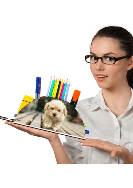 Ahşap Terrier Köpek Gökkuşağı Cetvelli Masaüstü Kalemlik Kutu Çocuklar Için Organizer NOTPAGK131