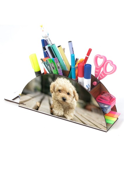 Ahşap Terrier Köpek Gökkuşağı Cetvelli Masaüstü Kalemlik Kutu Çocuklar Için Organizer NOTPAGK131 fiyatları