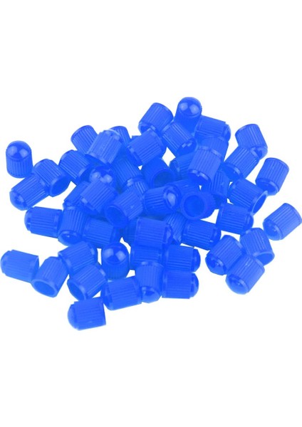 Plastik Lastik Valf (Yurt Dışından)