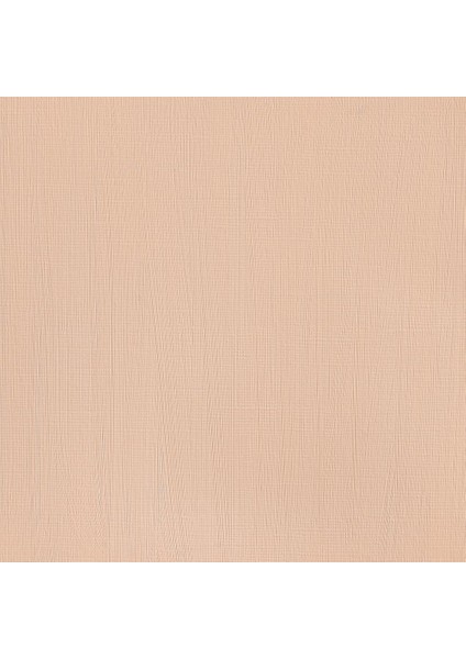 Professional Akrilik Boya 200ML Burnt Sienna 074 S.1 fırsatları