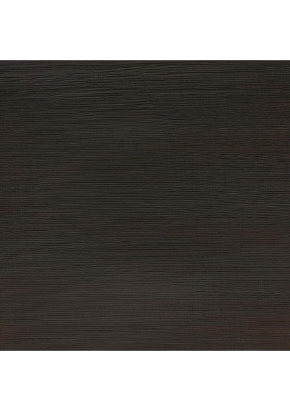 Professional Akrilik Boya 200ML Raw Umber 554 S.1