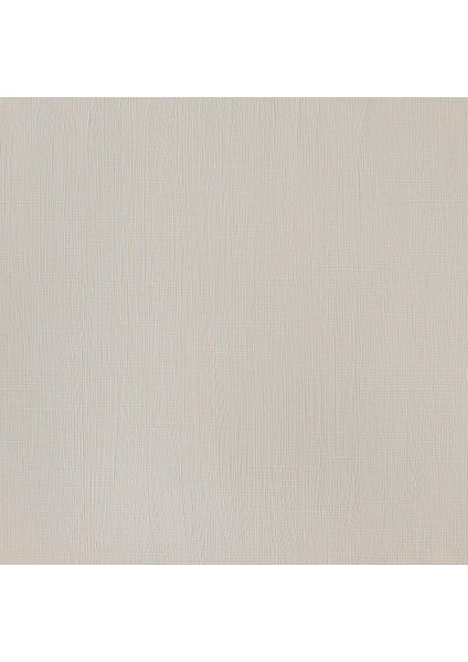 Professional Akrilik Boya 200ML Raw Umber 554 S.1