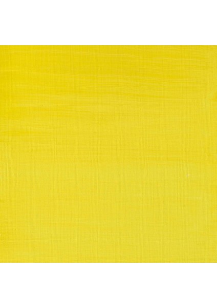 Professional Akrilik Boya 200ML Lemon Yellow Hue 346 S.2 fiyatları