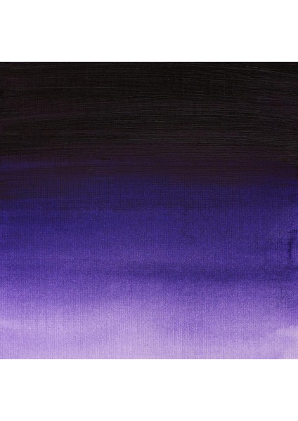 Professional Akrilik Boya 200ML Dioxazine Purple 229 S.3 fiyatları