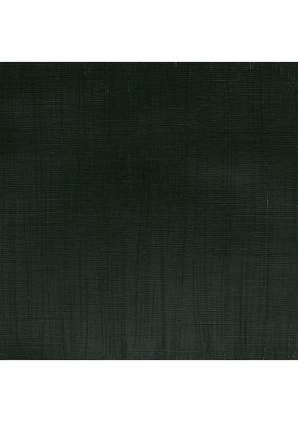 Professional Akrilik Boya 200ML Hooker’s Green 311 S.3 fiyatları