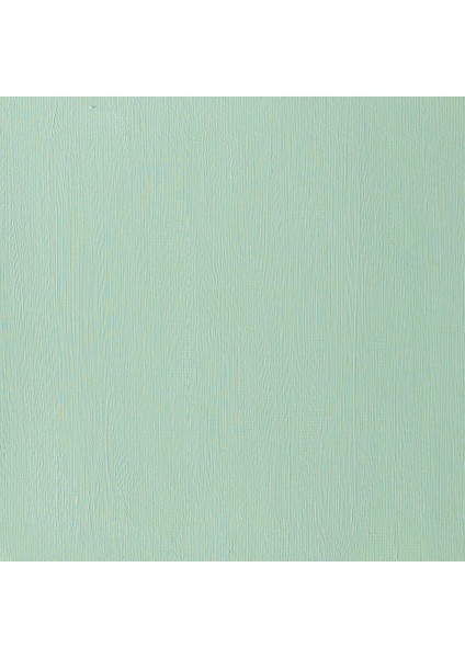 Professional Akrilik Boya 200ML Hooker’s Green 311 S.3 fırsatları