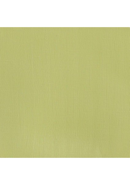 Professional Akrilik Boya 200ML Permanent Sap Green 503 S.3