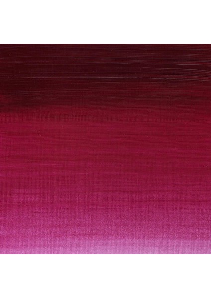Professional Akrilik Boya 200ML Quinacridone Magenta 545 S.3