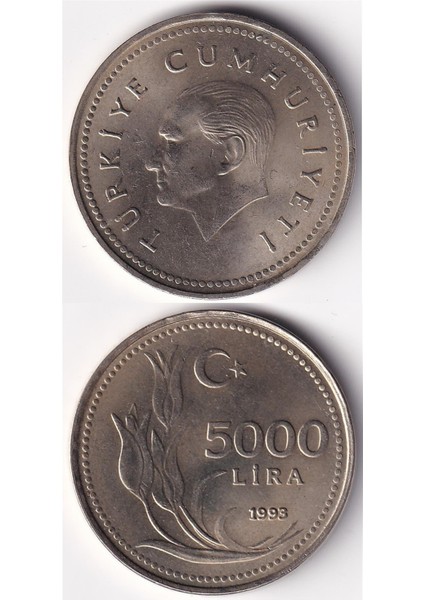 5.000 Lira (1993) Çil Eski Madeni Para