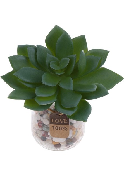 Simülasyon Yapay Succulents Bitkiler Fotoğraf Personeli Bitki Düzenlemesi (Yurt Dışından) fiyatları