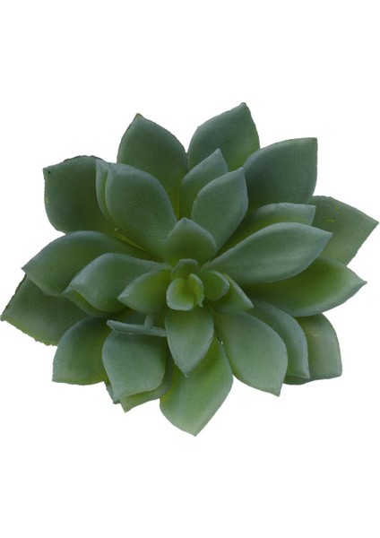 Simülasyon Yapay Succulents Bitkiler Fotoğraf Personeli Bitki Düzenlemesi (Yurt Dışından) modelleri