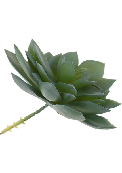 Simülasyon Yapay Succulents Bitkiler Fotoğraf Personeli Bitki Düzenlemesi (Yurt Dışından) fırsatları