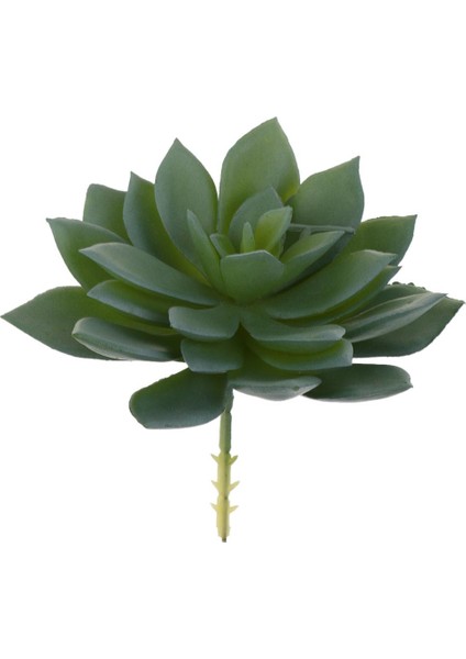 Simülasyon Yapay Succulents Bitkiler Fotoğraf Personeli Bitki Düzenlemesi (Yurt Dışından) indirimleri