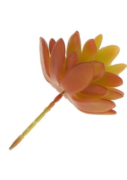 Yapay Etli Lotus Çiçek Yaprakları Bitki Sarı Kırmızı (Yurt Dışından)