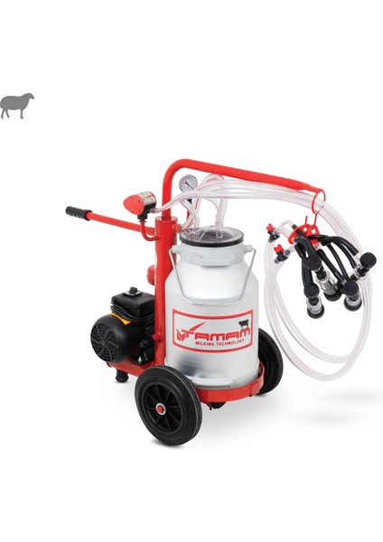 Ecomini İkili Koyun Süt Sağma Makinesi (Alüminyum Güğüm-Kauçuk Memelik) (Kuru Pompa)