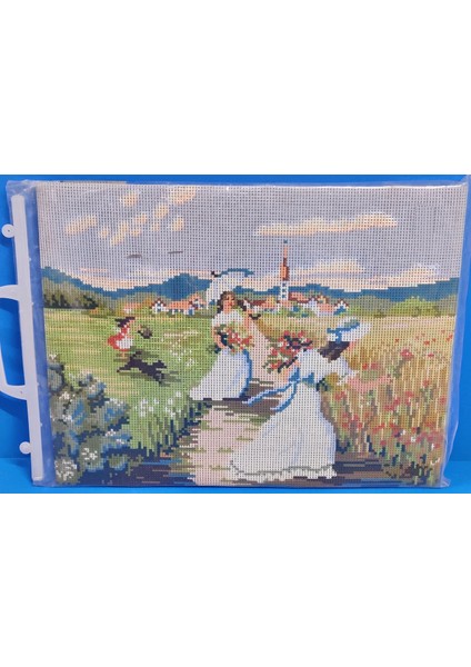 6005 Goblen Yün Işleme Kiti Etamin Pano Tablo