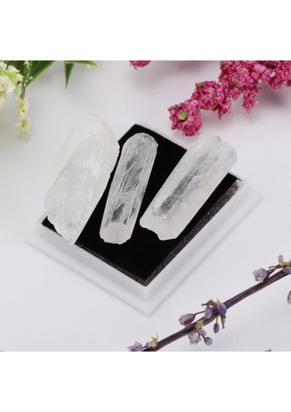 Jeoloji Bilimi Eğitim Kiti Rock & Mineral Koleksiyonu (Yurt Dışından)