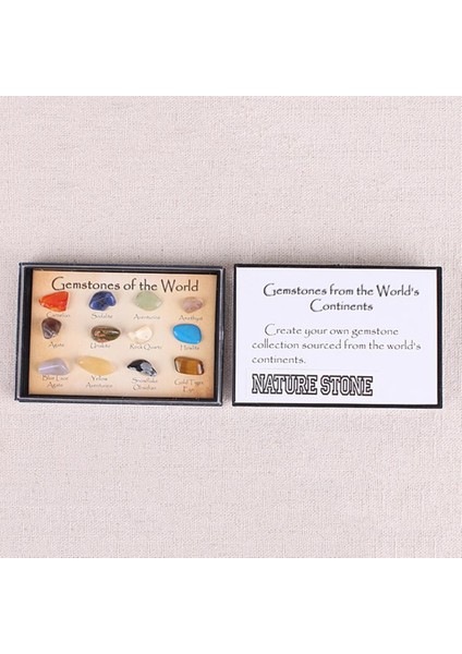 15PCS/SET Kaya ve Toplama Toprak Bilimi Oyuncak Schooll Öğretim Aracı (Yurt Dışından)