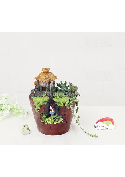 Kirpi Çiçek Sedum Etli Pot Ekici Bonsai Oluk Kutusu Bitki (Yurt Dışından)
