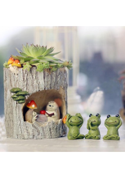 Kirpi Çiçek Sedum Etli Pot Ekici Bonsai Oluk Kutusu Bitki (Yurt Dışından)