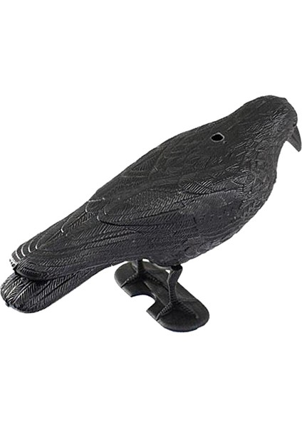 Black Crow Ravine Bahçe Korkusu Korkuluk (Yurt Dışından)