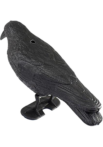 Black Crow Ravine Bahçe Korkusu Korkuluk (Yurt Dışından)