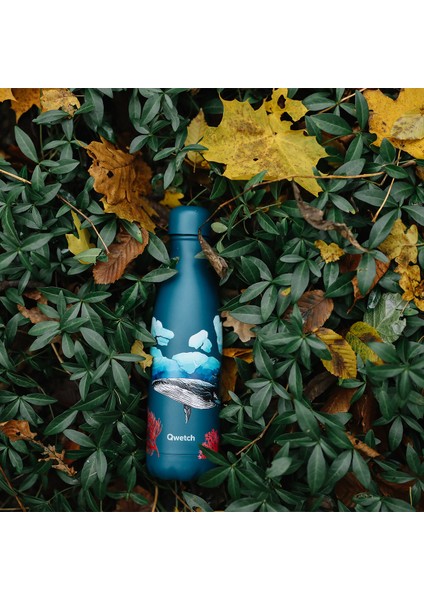 QD3466 Balina Desenli Isı Yalıtımlı 500ML Termos - Turkuaz