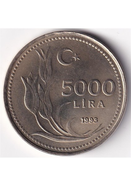5.000 Lira (1993) Çil Eski Madeni Para modelleri