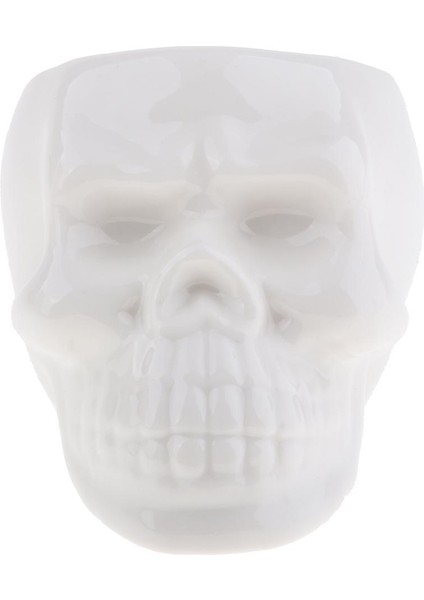 Kafatası Kafa Modeli Dekorasyonu, Seramik Saksı ile Seramik Saksı, 6.6 x (Yurt Dışından)