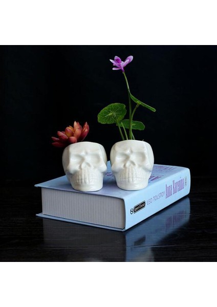 Kafatası Kafa Modeli Dekorasyonu, Seramik Saksı ile Seramik Saksı, 6.6 x (Yurt Dışından) fiyatları