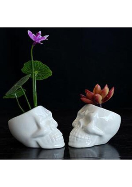 Kafatası Kafa Modeli Dekorasyonu, Seramik Saksı ile Seramik Saksı, 6.6 x (Yurt Dışından) modelleri