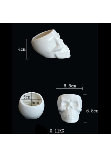 Kafatası Kafa Modeli Dekorasyonu, Seramik Saksı ile Seramik Saksı, 6.6 x (Yurt Dışından) indirimleri