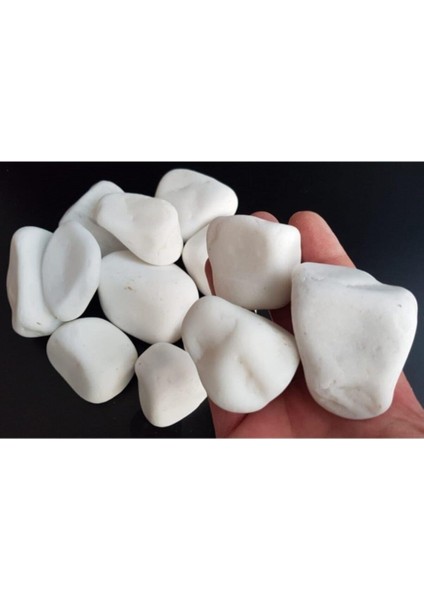 Bahçe Beyaz Taş 10 kg 4-6 cm Beyaz Dolomit Taş Dere Taşı Çakıl Taşı Bahçe Süs Taşı Akvaryum T